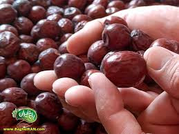 عناب درجه یک خراسان جنوبی 10 کیلوگرمی