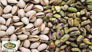 5 کیلو پسته مرغوب و ارگانیک خراسان (برگز) پسته سفید وبادامی انس 36